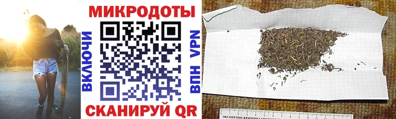 хочу наркоту  Жердевка  Галлюциногенные грибы ЛСД 